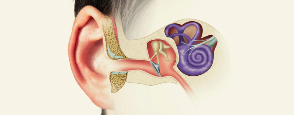 Managing Inner Ear Disorders: Physiotherapy’s Role in Enhancing Vestibular Health